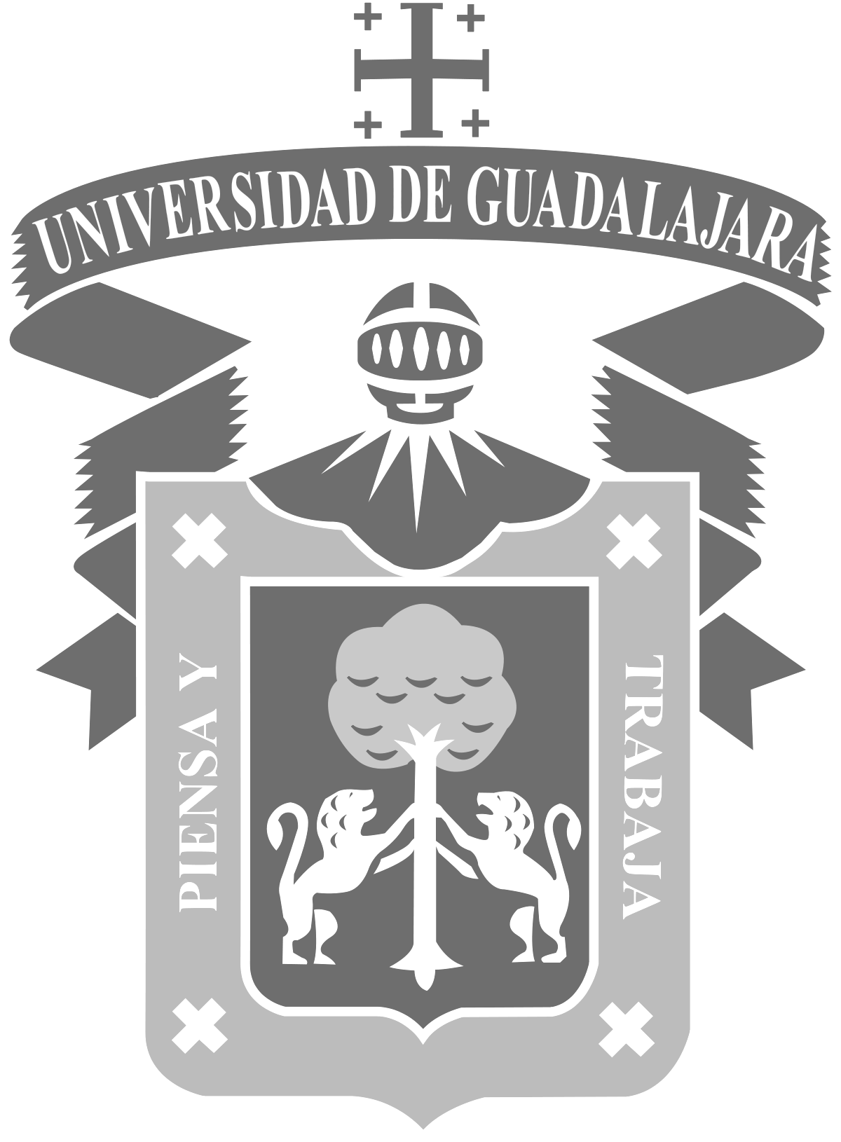 Universidad de Guadalajara